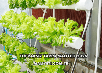 Topraksız Tarım Maliyeti 2026