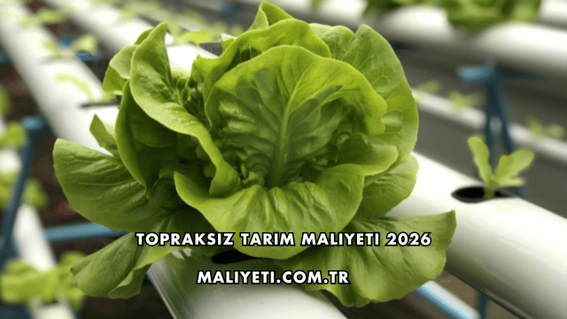 Topraksız Tarım Maliyeti 2026