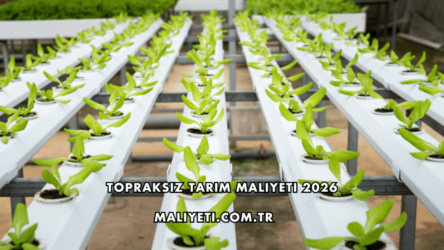 Topraksız Tarım Maliyeti 2026