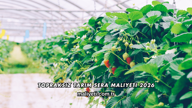 Topraksız Tarım Sera Maliyeti 2026