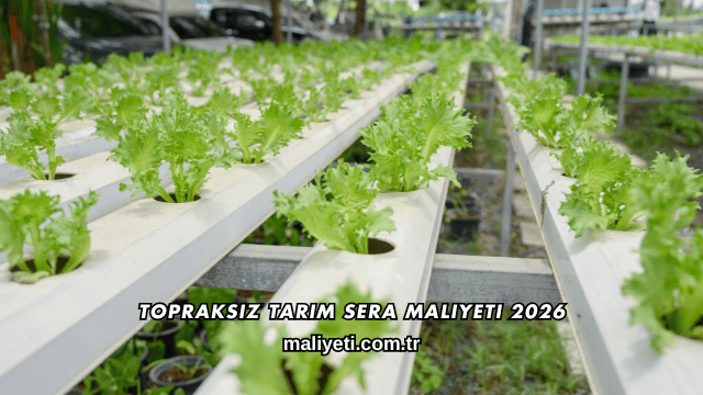 Topraksız Tarım Sera Maliyeti 2026