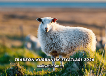 Trabzon Kurbanlık Fiyatları 2026