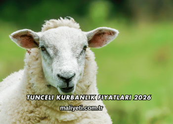 Tunceli Kurbanlık Fiyatları 2026