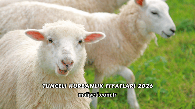 Tunceli Kurbanlık Fiyatları 2026