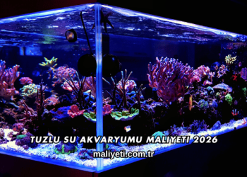 Tuzlu Su Akvaryumu Maliyeti 2026