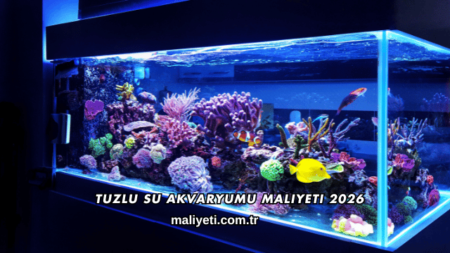 Tuzlu Su Akvaryumu Maliyeti 2026