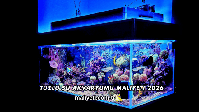 Tuzlu Su Akvaryumu Maliyeti 2026