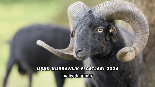 Uşak Kurbanlık Fiyatları 2026