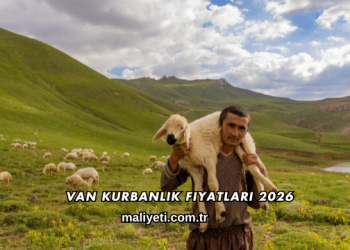 Van Kurbanlık Fiyatları 2026