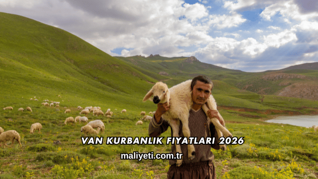 Van Kurbanlık Fiyatları 2026