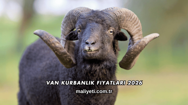 Van Kurbanlık Fiyatları 2026