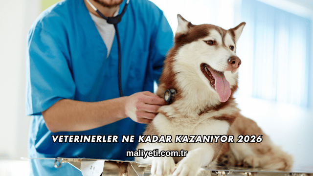 Veterinerler Ne Kadar Kazanıyor 2026