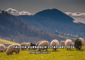 Yalova Kurbanlık Fiyatları 2026