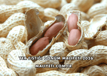 Yer Fıstığı Dönüm Maliyeti 2026