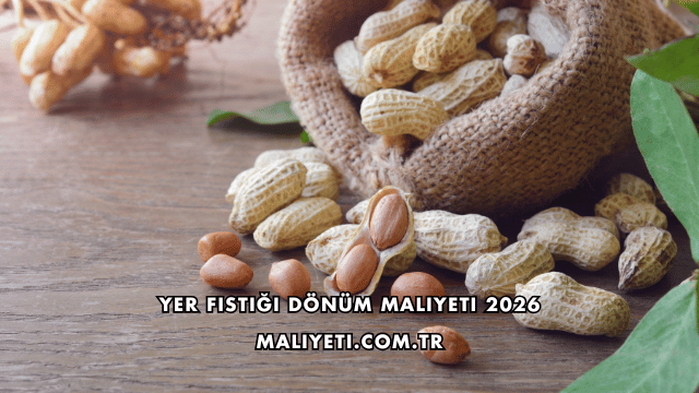 Yer Fıstığı Dönüm Maliyeti 2026