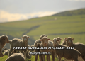 Yozgat Kurbanlık Fiyatları 2026