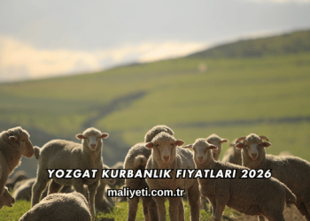 Yozgat Kurbanlık Fiyatları 2026