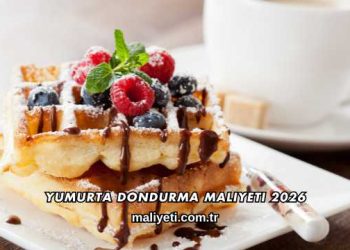 Yumurta Dondurma Maliyeti 2026