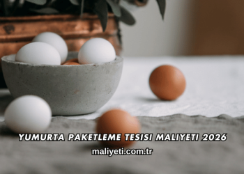 Yumurta Paketleme Tesisi Maliyeti 2026