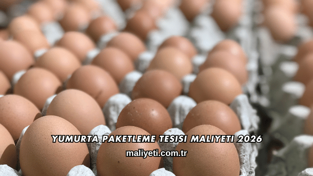 Yumurta Paketleme Tesisi Maliyeti 2026