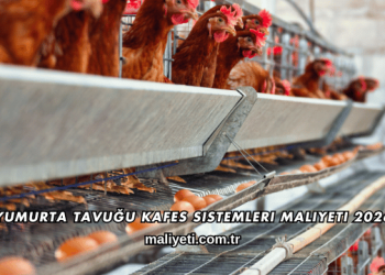 Yumurta Tavuğu Kafes Sistemleri Maliyeti 2026