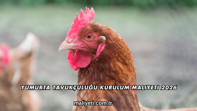 Yumurta Tavukçuluğu Kurulum Maliyeti 2026