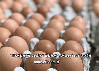 Yumurta Tesisi Kurma Maliyeti 2026