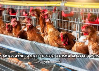 Yumurtalık Tavuk Çiftliği Kurma Maliyeti 2026