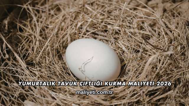 Yumurtalık Tavuk Çiftliği Kurma Maliyeti 2026