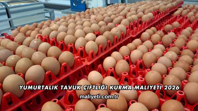 Yumurtalık Tavuk Çiftliği Kurma Maliyeti 2026