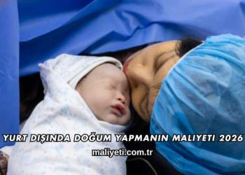 Yurt Dışında Doğum Yapmanın Maliyeti 2026