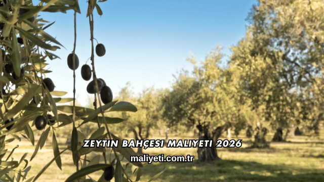 Zeytin Bahçesi Maliyeti 2026
