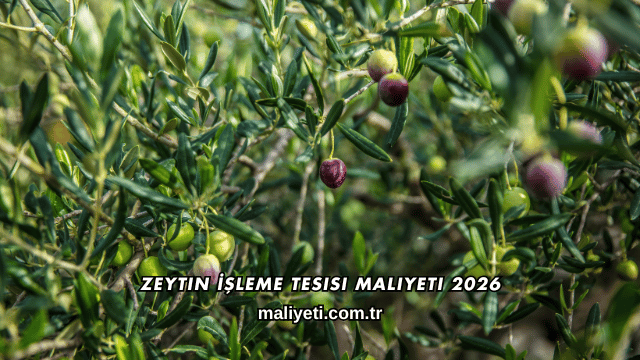 Zeytin İşleme Tesisi Maliyeti 2026