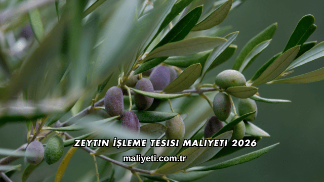 Zeytin İşleme Tesisi Maliyeti 2026