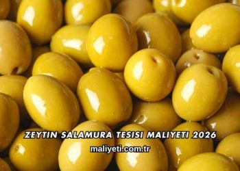 Zeytin Salamura Tesisi Maliyeti 2026