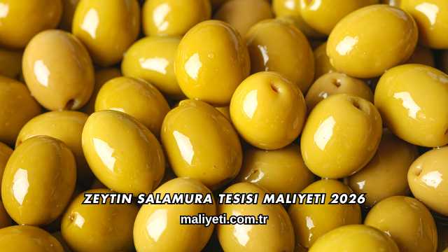 Zeytin Salamura Tesisi Maliyeti 2026