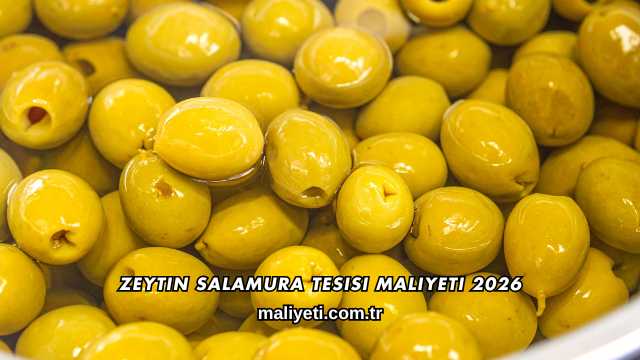 Zeytin Salamura Tesisi Maliyeti 2026