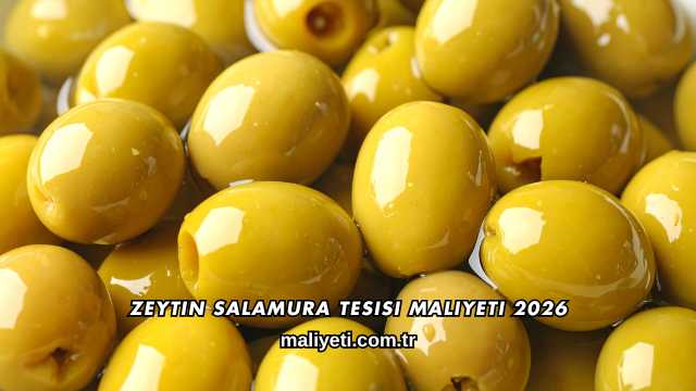 Zeytin Salamura Tesisi Maliyeti 2026