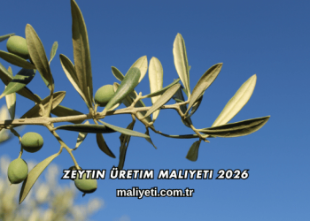Zeytin Üretim Maliyeti 2026