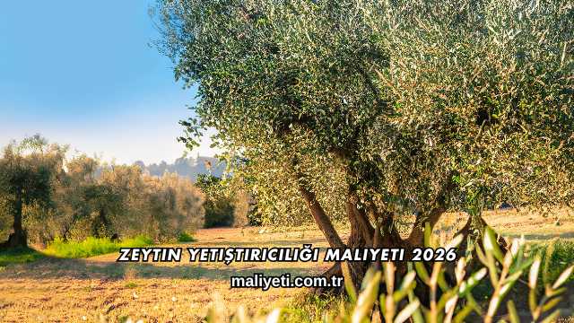 Zeytin Yetiştiriciliği Maliyeti 2026