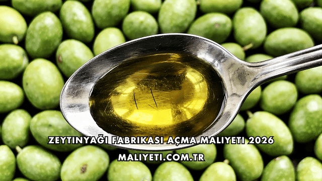 Zeytinyağı Fabrikası Açma Maliyeti 2026