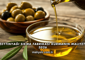 Zeytinyağı Sıkma Fabrikası Kurmanın Maliyeti 2026