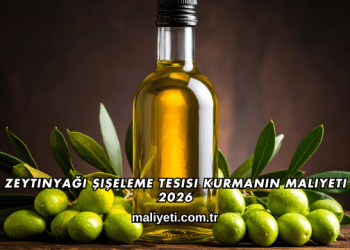 Zeytinyağı Şişeleme Tesisi Kurmanın Maliyeti 2026